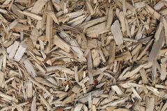 biomass boilers Clinkham Wood